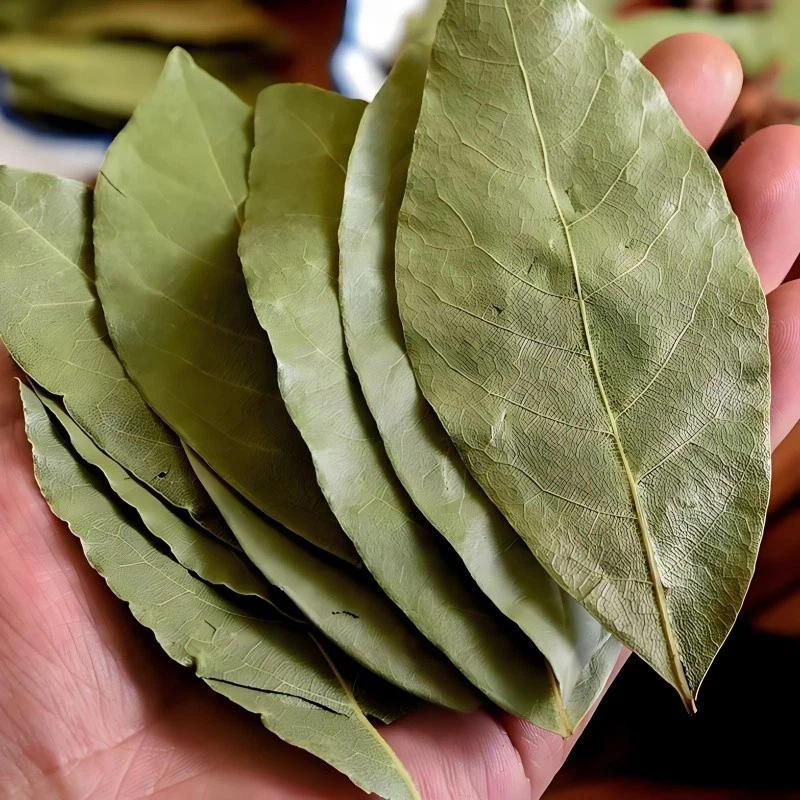 a9192335-9cbb-40f5-b725-5dfc3faa650e