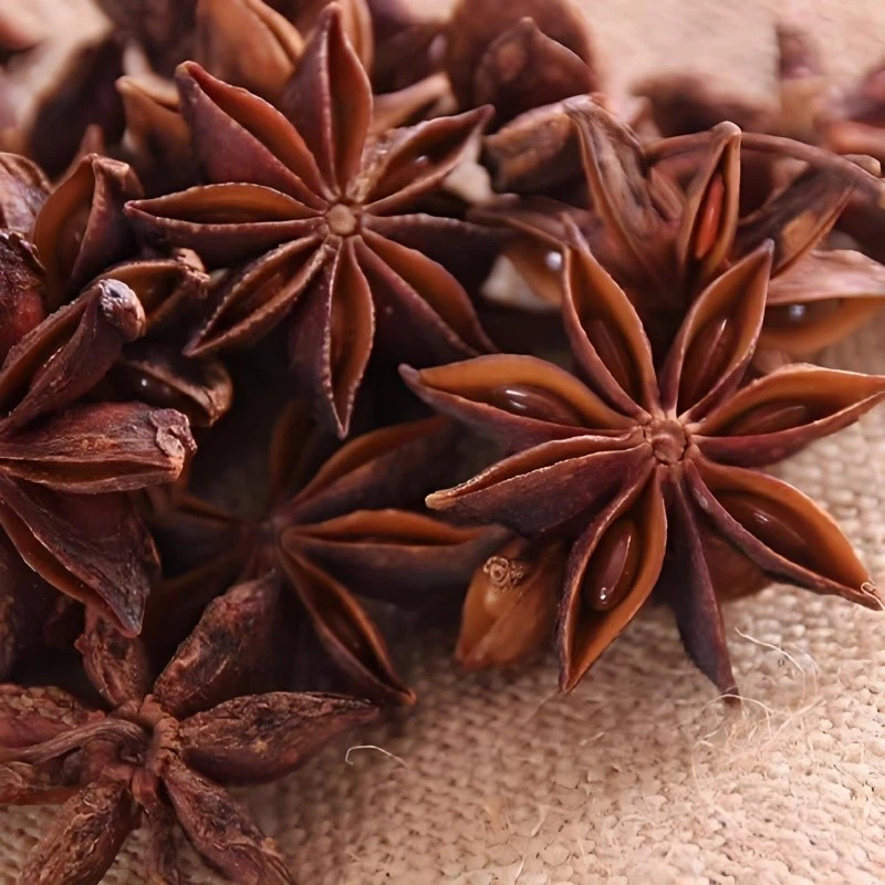 product-800-800 product-800-800