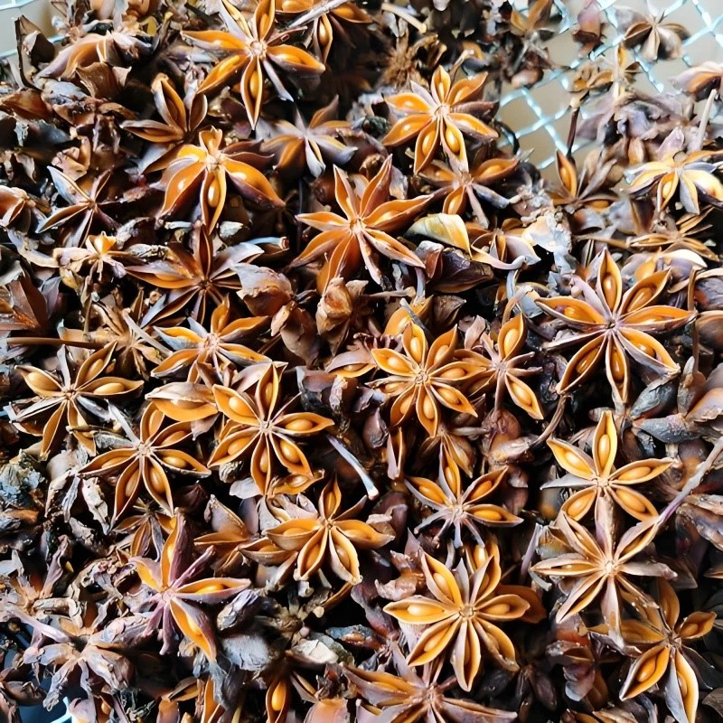 product-800-800 product-800-800